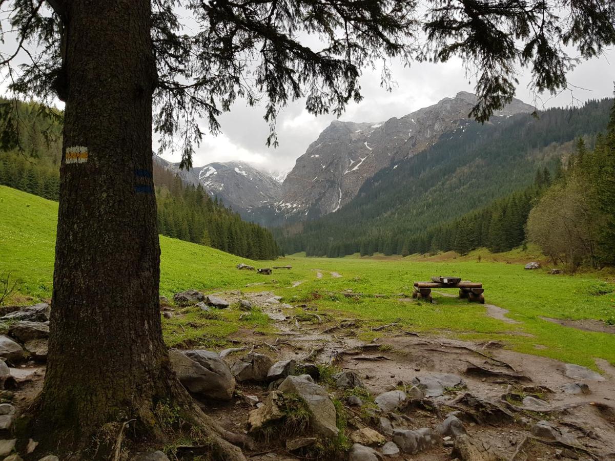 Spanie Po Zboju Kościelisko Exteriér fotografie